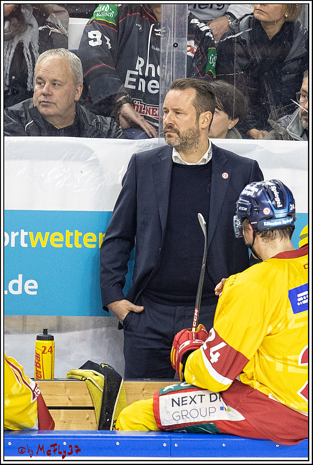 PENNY DEL;  Kölner Haie - Düsseldorfer EG; Köln, 16.12.2022